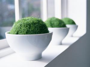 神戸HDCショールーム|タカラスタンダードの最新設備と便利なアクセス情報【JR神戸駅前】