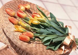 立川にあるタカラスタンダード立川ショールームの魅力と店舗情報